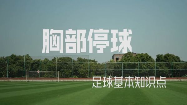 壹号娱乐