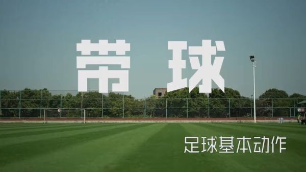 壹号娱乐