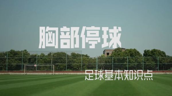 壹号娱乐